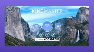 Kinemaster Diamond APK 2